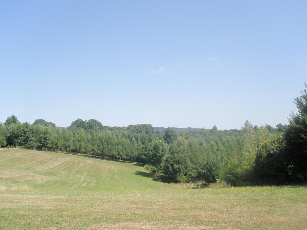 La Ferme De Leychoisier Bed & Breakfast Bonnac-la-Cote Exterior photo